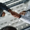 Develop Alliances